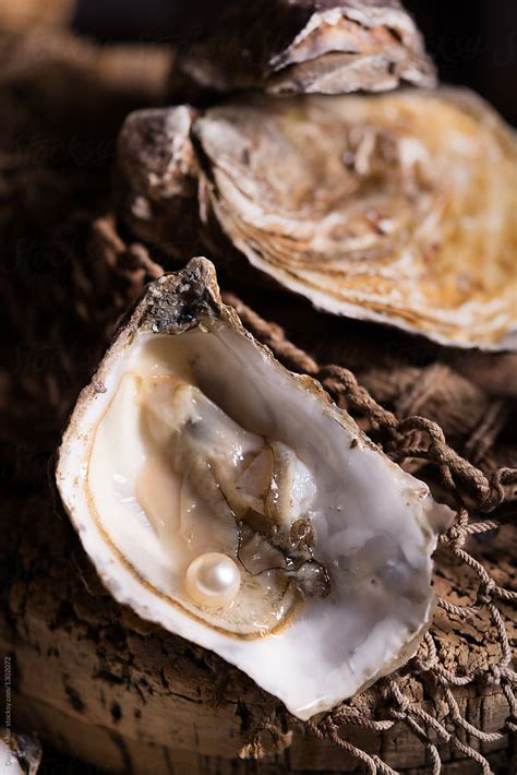 Fresh Opened Oyster With A Pearl Inside It By Stocksy Contributor