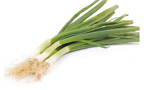 We did not find results for: Frühlingszwiebeln