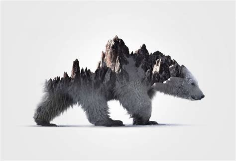 I Merged Animals With Their Own Environments Into One Crazy Simple