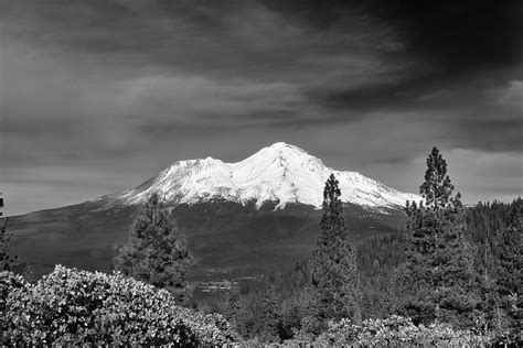 Mt Shasta Photograph By Maria Jansson Fine Art America