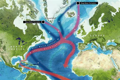 What Is The Future Of The Gulf Stream Circulation Geomar Helmholtz