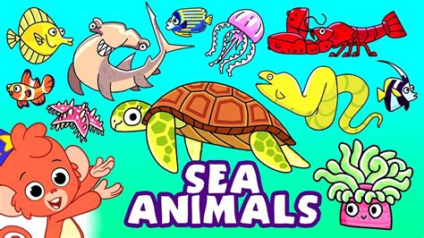 Learn Sea Animals For Kids Ocean Animals Names Cartoon Club Baboo