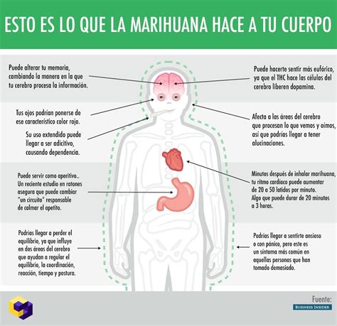 lista 99 foto efectos de la marihuanas en hombres sexualmente actualizar