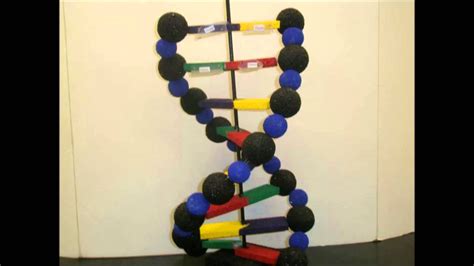 Making A Model Dna Youtube Making A Model How To Make Beaded