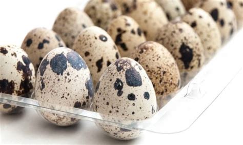 Saber cómo cocinar los huevos de codorniz en thermomix es muy sencillo, al menos más que cocerlos en microondas. Receta De Ensalada De Patata Con Huevos De Codorniz ...