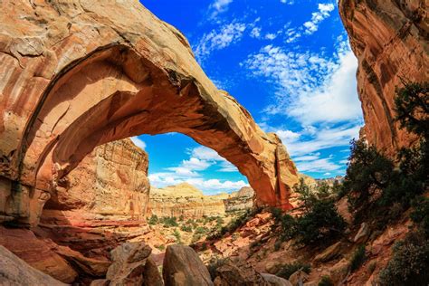 Discover The Hidden Gem Of Utah Capitol Reef National Park