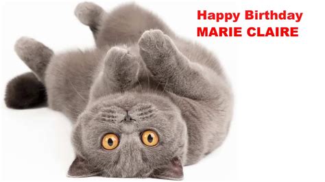 Marieclaire Cats Gatos Happy Birthday Youtube