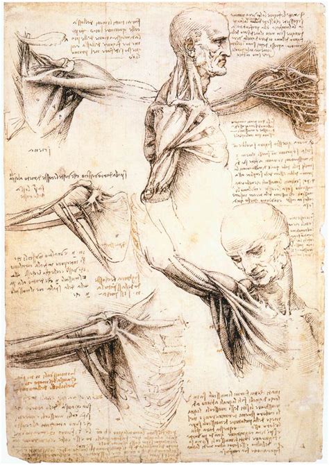 Leonardo Da Vinci Da Vinci Drawings A Level Art Sketchbook Leonardo