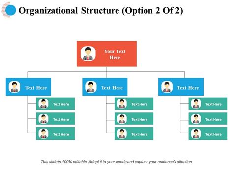 Organizational Structure Management Ppt Powerpoint Presentation File