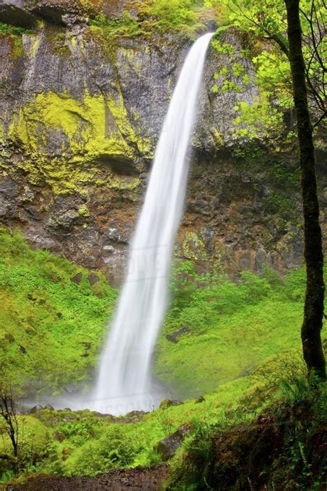 Elowah Falls In Columbia River Gorge National Scenic Area Oregon Usa