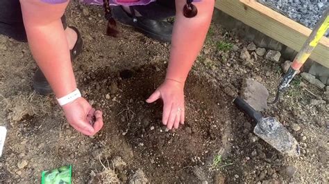 Planting Cucumber Seeds Youtube