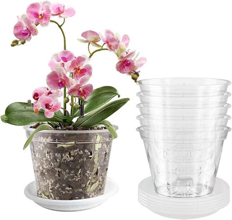 Foreverup Cm Clear Orchid Pots Pack Plastic Flower Plant Pots With