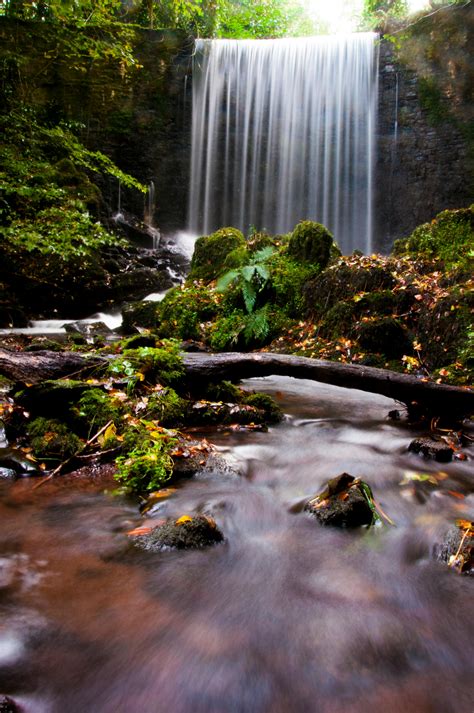 Waterfalls And Green Leafed Trees · Free Stock Photo
