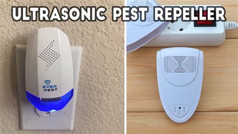 Best Ultrasonic Pest Repeller In 2022 Guided And Recommended Youtube