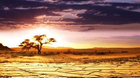 48 Hd Africa Wallpapers For Desktop And Mobile