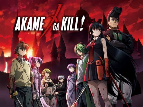 The story focuses on tatsumi, a young villager who travels to the capital to raise money for his home only to. Akame ga KILL!: l'animé est en streaming sur Netflix - TVQC