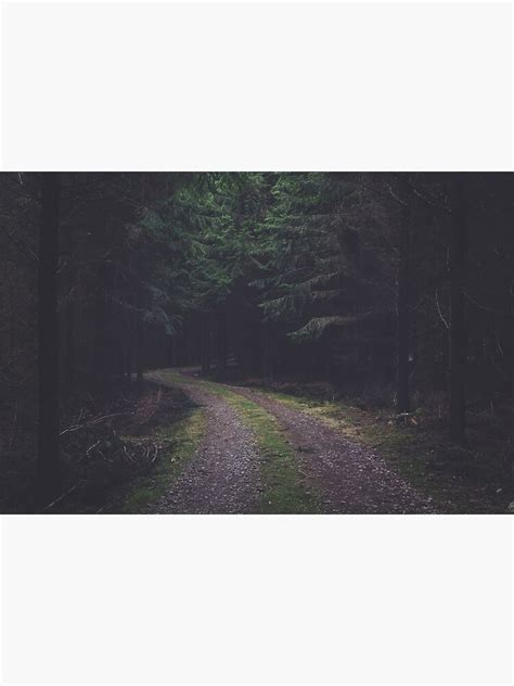Forest Path Poster By Thisfire Redbubble