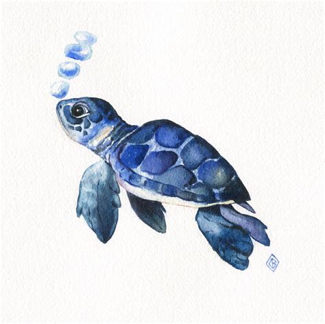 Baby Sea Turtle Chelsea Fern Baker Watercolor Turtle Watercolor