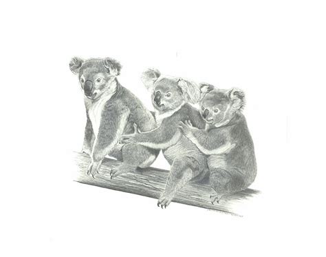 Threesome Drawing By Paula Anastasi Buehler