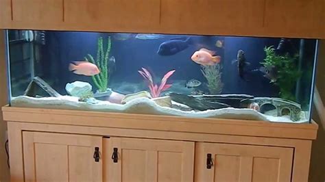 Included with the fish tank are fish food, water conditioner, an aquarium heater, and an adhesive thermometer to measure the temperature of the finally, we have the all glass aquarium kit. My new 150 gallon fish tank - YouTube