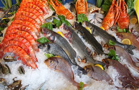 China Larang Sementara Produk Seafood Indonesia Karena Terinfeksi Virus