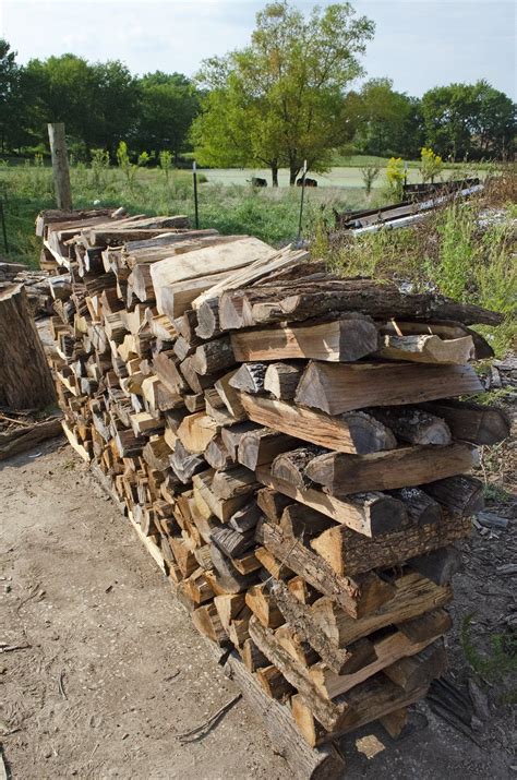 St Louis Seasoned Firewood For Sale | Delivery Included