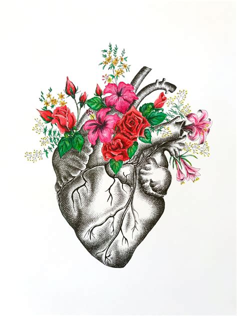 Blooming Heart Pen And Watercolor Drawing Anatomy Art Anatomical
