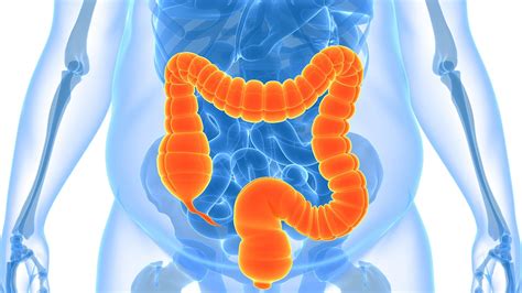 Ibd And Obesity What Are The Best Treatments For People With Both