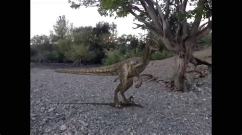 Real Dinosaur Sightings At River Youtube