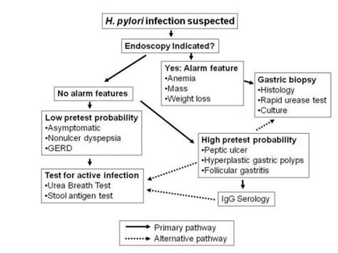 Helicobacter Pylori Infection The Clinical Advisor