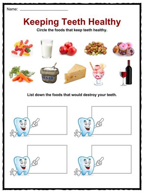 Teeth Facts Worksheets And Information For Kids