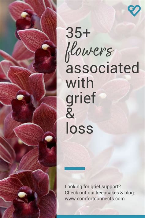 35 Flowers Associated With Grief And Loss Flower Meanings Grief