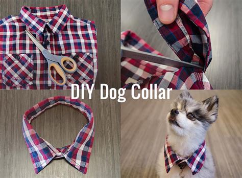 Diy Dog Collar Diwhy