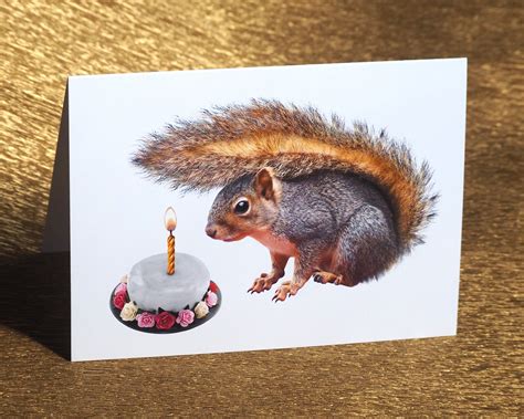 Baby Squirrel Cake Birthday Card Etsy Baby Squirrel Birthday Cards