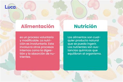 Alimentación Y Nutrición Claves Para La Vida Saludable