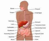 Images of Colon Pain Medication