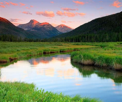 It is an elusive concept that is worth delving into. Home www.second-nature.com