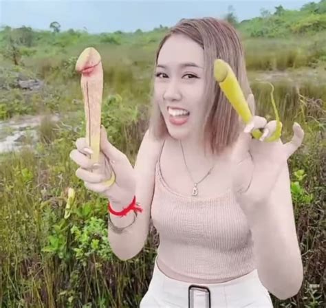 Fearing Extinction Cambodian Government Appeals To Tourists To Stop Picking Phallic Looking