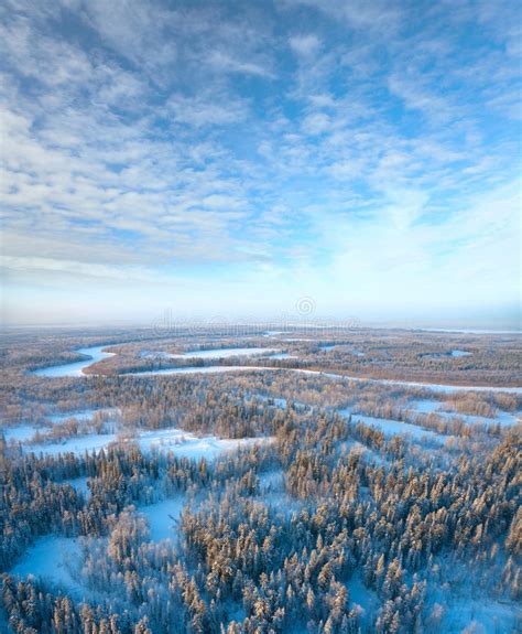 Forest Of Plain And Small River In Winter Stock Image Image Of Season