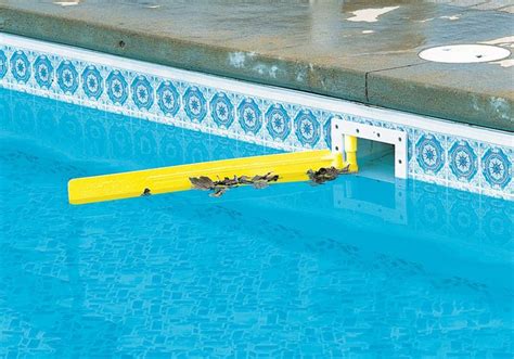 Skim It Pool Skimmer Arm Attachment Swimming Pool