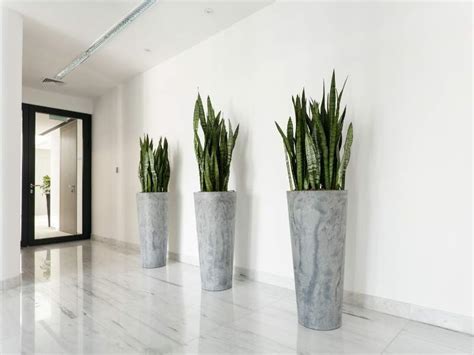 What learning means to me? Why Green Space in the Workplace is Important for Wellness ...