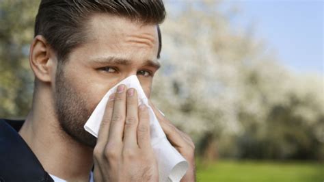 Here Are The 10 Worst Cities For People With Allergies Mental Floss