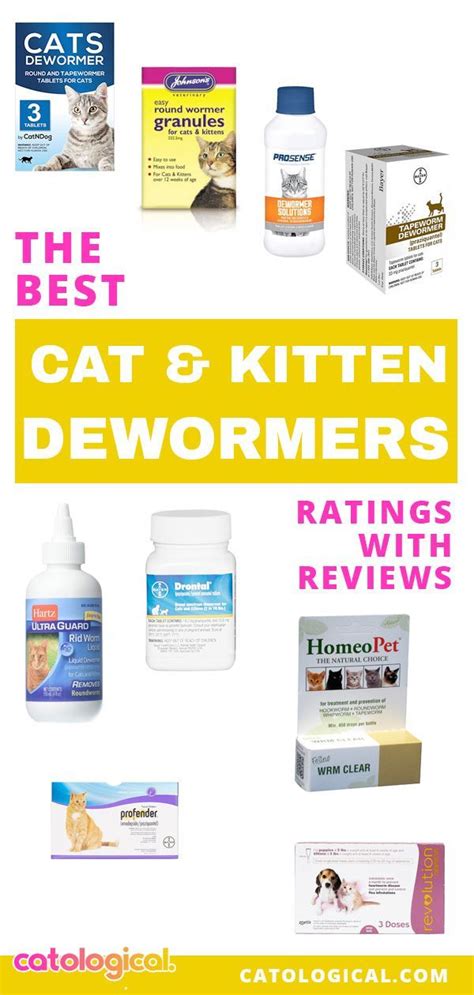 If Its Come That Season Where Youre Looking To Deworm Your Cat Or You