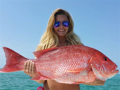 Red Snapper 5 