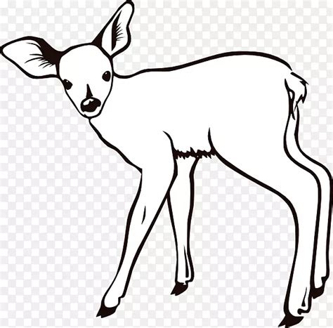 驯鹿白尾鹿着色书剪贴画鹿PNG图片素材下载 图片编号1727234 PNG素材网