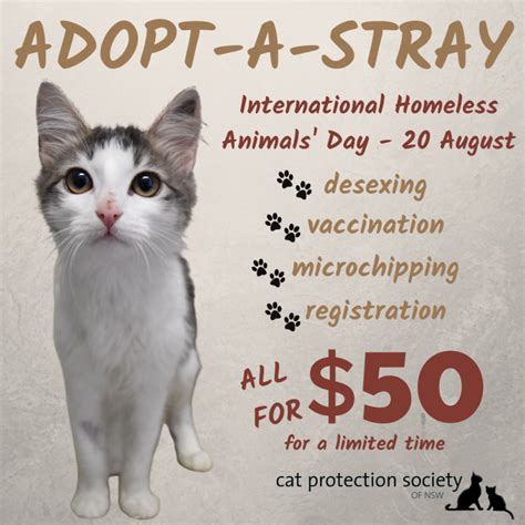 cat protection society of nsw