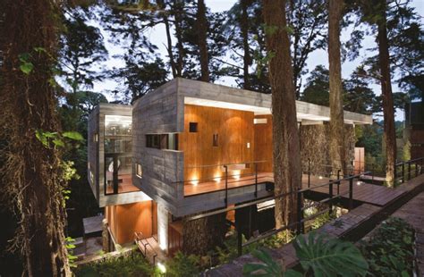 Arboreal Architecture 14 Houses Built Around And Within