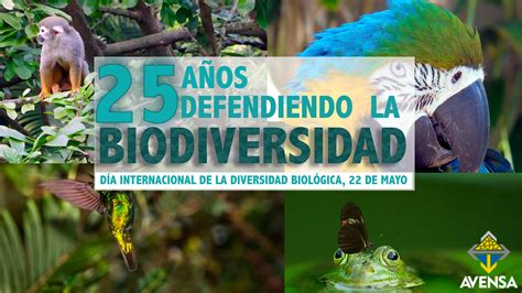 25 Años Defendiendo Las Biodiversidad Avensa Producción Comercialización Y Líder En Minería A