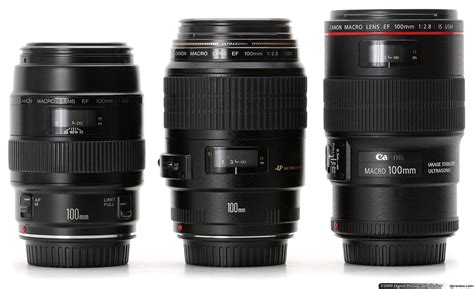 Canon Ef 100mm F28 L Is Usm Macro Review Digital