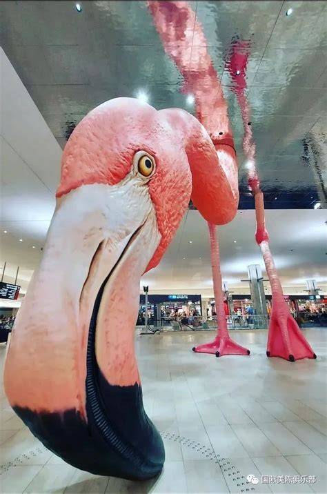 坦帕国际机场巨大火烈鸟艺术雕塑 数艺网